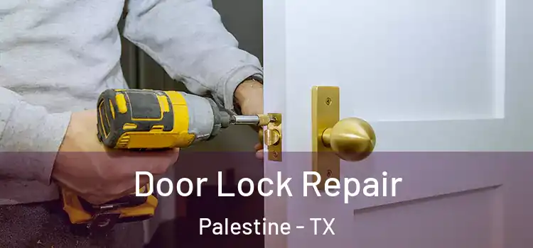 Door Lock Repair Palestine - TX