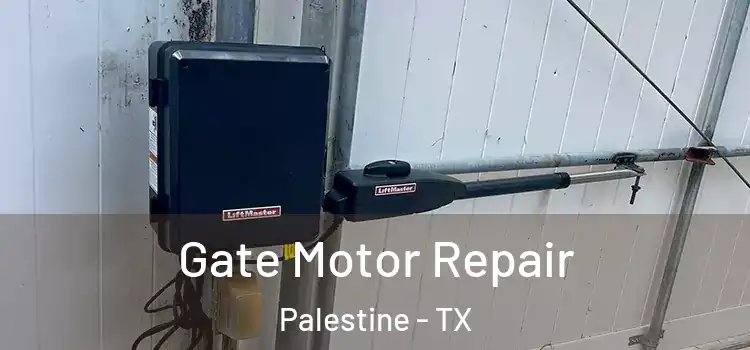 Gate Motor Repair Palestine - TX