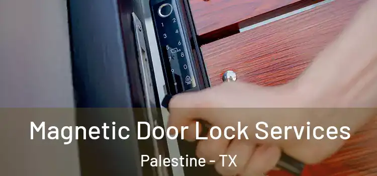 Magnetic Door Lock Services Palestine - TX