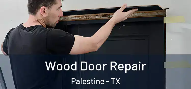 Wood Door Repair Palestine - TX